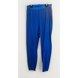 PATAGONIA Women's XL Performance Capilene Base Layer Pants Blue Midweight.    X